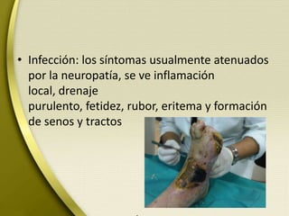 • Infección: los síntomas usualmente atenuados
por la neuropatía, se ve inflamación
local, drenaje
purulento, fetidez, rubor, eritema y formación
de senos y tractos
 