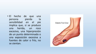 • El hecho de que una
persona pierda la
sensibilidad en el pie
implica que, si se produce
una herida, un roce
excesivo, una hiperpresión
de un punto determinado o
una exposición excesiva a
fuentes de calor o frío, no
se sientan.
 