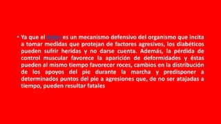 • Ya que el dolor es un mecanismo defensivo del organismo que incita
a tomar medidas que protejan de factores agresivos, los diabéticos
pueden sufrir heridas y no darse cuenta. Además, la pérdida de
control muscular favorece la aparición de deformidades y éstas
pueden al mismo tiempo favorecer roces, cambios en la distribución
de los apoyos del pie durante la marcha y predisponer a
determinados puntos del pie a agresiones que, de no ser atajadas a
tiempo, pueden resultar fatales
 