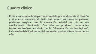 Cuadro clínico:
• El pie es una zona de riego comprometido por su distancia al corazón
y si a esto sumamos el daño que sufren los vasos sanguíneos,
podemos imaginar que la circulación arterial del pie se vea
ampliamente disminuida. Con ello se producen importantes
trastornos tróficos, es decir, de la "alimentación de los tejidos",
incluyendo debilidad de la piel, sequedad y otras alteraciones de las
uñas.
 
