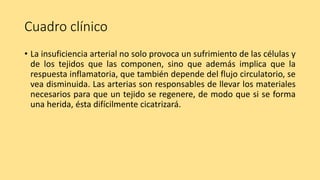 Cuadro clínico
• La insuficiencia arterial no solo provoca un sufrimiento de las células y
de los tejidos que las componen, sino que además implica que la
respuesta inflamatoria, que también depende del flujo circulatorio, se
vea disminuida. Las arterias son responsables de llevar los materiales
necesarios para que un tejido se regenere, de modo que si se forma
una herida, ésta difícilmente cicatrizará.
 