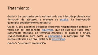 Tratamiento:
Grado 3. Se caracteriza por la existencia de una infección profunda, con
formación de abscesos, a menudo de osteítis. La intervención
quirúrgica posiblemente es necesaria.
Grado 4. Los pacientes afectados requieren hospitalización urgente y
valoración del componente isquémico, que en esta fase suele estar
sumamente afectado. En términos generales, se procede a cirugía
revascularizadora, para evitar la amputación, o conseguir que ésta
pueda realizarse a un nivel distal de la extremidad.
Grado 5. Se requiere amputación.
 
