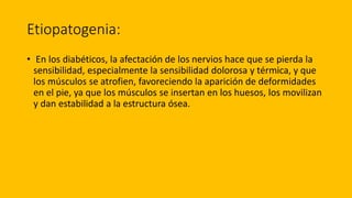 Etiopatogenia:
• En los diabéticos, la afectación de los nervios hace que se pierda la
sensibilidad, especialmente la sensibilidad dolorosa y térmica, y que
los músculos se atrofien, favoreciendo la aparición de deformidades
en el pie, ya que los músculos se insertan en los huesos, los movilizan
y dan estabilidad a la estructura ósea.
 