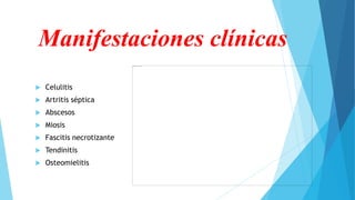Manifestaciones clínicas
 Celulitis
 Artritis séptica
 Abscesos
 Miosis
 Fascitis necrotizante
 Tendinitis
 Osteomielitis
 