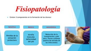 Fisiopatología
 Existen 3 componentes en la formación de las úlceras:
Sensitiva Motora Autonómica
Pérdida de la
sensación
protectora
Atrofia
muscular,
deformidad
del pie
Reducción de la
transpiración y piel
seca, fisuras cutáneas
(puerta de entrada de
las infecciones)
 