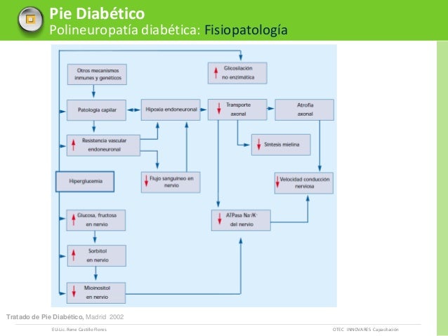 Pie diabético etiopatogenia neuropatia - otec innovares Pie diabético etiopatogenia neuropatia - otec innovares