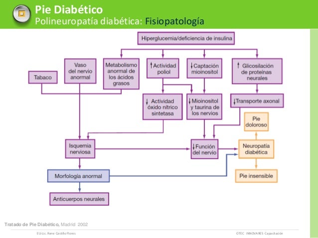 Pie diabético etiopatogenia neuropatia - otec innovares Pie diabético etiopatogenia neuropatia - otec innovares