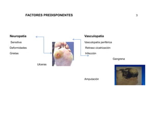 FACTORES PREDISPONENTES 3 
Neuropatía 
Sensitiva 
Deformidades 
Grietas 
Ulceras 
Vasculopatía 
Vasculopatía periférica 
Retraso cicatrización 
Infección 
Gangrena 
Amputación 
 