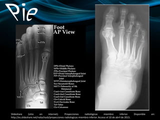 Slideshare (sitio en internet). Proyecciones radiológicas miembro inferior. Disponible en:
http://es.slideshare.net/natachasb/proyecciones-radiologicas-miembro-inferior. Acceso el 10 de abril de 2015.
 