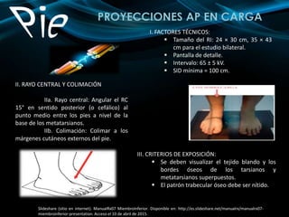 PROYECCIONES AP EN CARGA
I. FACTORES TÉCNICOS:
 Tamaño del RI: 24 × 30 cm, 35 × 43
cm para el estudio bilateral.
 Pantalla de detalle.
 Intervalo: 65 ± 5 kV.
 SID mínima = 100 cm.
III. CRITERIOS DE EXPOSICIÓN:
 Se deben visualizar el tejido blando y los
bordes óseos de los tarsianos y
metatarsianos superpuestos.
 El patrón trabecular óseo debe ser nítido.
II. RAYO CENTRAL Y COLIMACIÓN
IIa. Rayo central: Angular el RC
15° en sentido posterior (o cefálico) al
punto medio entre los pies a nivel de la
base de los metatarsianos.
IIb. Colimación: Colimar a los
márgenes cutáneos externos del pie.
Slideshare (sitio en internet). ManualRx07 MiembroInferior. Disponible en: http://es.slideshare.net/manualrx/manualrx07-
miembroinferior-presentation. Acceso el 10 de abril de 2015.
 