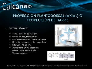 PROYECCIÓN PLANTODORSAL (AXIAL) O
PROYECCIÓN DE HARRIS
I. FACTORES TÉCNICOS:
 Tamaño del RI: 18 × 24 cm.
 Dividir en dos, transversal.
 Pantalla de detalle, tablero de mesa.
 RI digital: emplear cubierta de plomo.
 Intervalo: 70 ± 5 kV.
 Aumentar 8-10 kV desde las
proyecciones del otro pie.
 Técnica y dosis:
Bontrager, K. L., & Lampignano, J. P. (2010). Proyecciones Radiologicas con Correlacion Anatomica (septima). Barcelona: Elsevier.
 