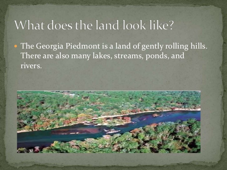 Piedmont habitat[1]timedandlooped