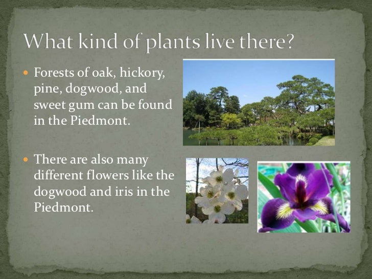 piedmont habitat