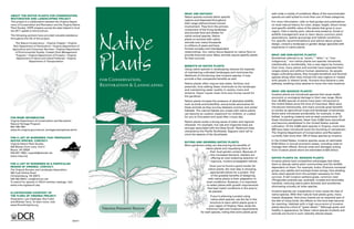 What are natives?                                                 well under a variety of conditions. Many of the recommended
About the Native Plants for Conservation,                                                                                                                    species are well-suited to more than one of these categories.
                                                                                           Native species evolved within specific
Restoration and Landscaping Project
                                                                                           regions and dispersed throughout
This project is a collaboration between the Virginia Depart-                                                                                                 For more information, refer to field guides and publications
                                                                                           their range without known human
ment of Conservation and Recreation and the Virginia Native                                                                                                  on local natural history for color, shape, height, bloom times
Plant Society. VNPS chapters across the state helped to fund
                                                                                           involvement. They form the primary
                                                                                                                                                             and specific wildlife value of the plants that grow in your
the 2011 update to this brochure.                                                          component of the living landscape
                                                                                                                                                             region. Visit a nearby park, natural area preserve, forest or




                                                               Native
                                                                                           and provide food and shelter for
The following partners have provided valuable assistance                                                                                                     wildlife management area to learn about common plant
                                                                                           native animal species. Native
throughout the life of this project:                                                                                                                         associations, spatial groupings and habitat conditions.
                                                                                           plants co-evolved with native
                                                                                                                                                             For specific recommendations and advice about project
   The Nature Conservancy – Virginia Chapter • Virginia                                    animals over many thousands
                                                                                                                                                             design, consult a landscape or garden design specialist with
 Tech Department of Horticulture • Virginia Department of                                  to millions of years and have
                                                                                                                                                             experience in native plants.
 Agriculture and Consumer Services • Virginia Department                                   formed complex and interdependent
                                                                                           relationships. Our native fauna depend on native flora to




                                                               Plants
   of Environmental Quality, Coastal Zone Management
   Program • Virginia Department of Forestry • Virginia                                    provide food and cover. Many animals require specific plants      What are non-native plants?
    Department of Game and Inland Fisheries • Virginia                                     for their survival.                                               Sometimes referred to as “exotic,” “alien,” or “non-
               Department of Transportation                                                                                                                  indigenous,” non-native plants are species introduced,
                                                                                                                                                             intentionally or accidentally, into a new region by humans.
                                                                                           Benefits of native plants
                                                                                                                                                             Over time, many plants and animals have expanded their
                                                                                           Using native species in landscaping reduces the expense
                                                                                                                                                             ranges slowly and without human assistance. As people
                                                                                           of maintaining cultivated landscapes and minimizes the
                                                                                                                                                             began cultivating plants, they brought beneficial and favored
                                                                                           likelihood of introducing new invasive species. It may
                                                                                                                                                             species along when they moved into new regions or traded
                                                               for Conservation,           provide a few unexpected benefits as well.
                                                                                                                                                             with people in distant lands. Humans thus became a new
                                                               Restoration & Landscaping   Native plants often require less water, fertilizer and
                                                                                           pesticide, thus adding fewer chemicals to the landscape
                                                                                                                                                             pathway, enabling many species to move into new locations.

                                                                                           and maintaining water quality in nearby rivers and
                                                                                                                                                             What are invasive plants?
                                                                                           streams. Fewer inputs mean time and money saved for
                                                                                                                                                             Invasive plants are introduced species that cause health,
                                                                                           the gardener.
                                                                                                                                                             economic or ecological damage in their new range. More
                                                                                           Native plants increase the presence of desirable wildlife,        than 30,000 species of plants have been introduced to
                                                                                           such as birds and butterflies, and provide sanctuaries for        the United States since the time of Columbus. Most were
                                                                                           these animals as they journey between summer and winter           introduced intentionally, and many provide great benefits
                                                                                           habitats. The natural habitat you create with native plants       to society as agricultural crops and landscape ornamentals.
                                                                                           can become an outdoor classroom for children, or a place          Some were introduced accidentally, for example, in ship
For more information                                                                       for you to find peace and quiet after a busy day.                 ballast, in packing material and as seed contaminants. Of
Virginia Department of Conservation and Recreation                                                                                                           these introduced species, fewer than 3,000 have naturalized
                                                                                           Native plants evoke a strong sense of place and regional
Natural Heritage Program                                                                                                                                     and become established in the United States outside
                                                                                           character. For example, live oak and magnolia trees are
804-786-7951                                                                                                                                                 cultivation. Of the 3,500 plant species in Virginia, more than
                                                                                           strongly associated with the Deep South. Redwood trees
www.dcr.virginia.gov/natural_heritage/nativeplants.shtml                                                                                                     800 have been introduced since the founding of Jamestown.
                                                                                           characterize the Pacific Northwest. Saguaro cacti call to
                                                                                                                                                             The Virginia Department of Conservation and Recreation
                                                                                           mind the deserts of the Southwest.
                                                                                                                                                             currently lists more than 100 of these species as invasive.
For a list of nurseries that propagate
native species, contact:                                                                                                                                     In the United States, invasive species cause an estimated
                                                                                           Buying and growing native plants
Virginia Native Plant Society                                                                                                                                $120 billion in annual economic losses, including costs to
                                                                                           More gardeners today are discovering the benefits of
400 Blandy Farm Lane, Unit 2                                                                                                                                 manage their effects. Annual costs and damages arising
                                                                                                           native plants and requesting them at
Boyce, VA 22620                                                                                                                                              from invasive plants alone are estimated at $34 billion.
540-837-1600 | vnpsofc@shentel.net                                                                             their local garden centers. Because of
www.vnps.org                                                                                                    this increased demand, retailers are
                                                                                                                offering an ever-widening selection of       Native plants vs. invasive plants
                                                                                                                vigorous, nursery-propagated natives.        Invasive plants have competitive advantages that allow
For a list of nurseries in a particular                                                                                                                      them to disrupt native plant communities and the wildlife
region of Virginia, contact:                                                                                    Once you’ve found a good vendor for
                                                                                                                                                             dependent on them. For example, kudzu (Pueraria montana)
The Virginia Nursery and Landscape Association                                                                 native plants, the next step is choosing
                                                                                                                                                             grows very rapidly and overtops forest canopy, thus shading
383 Coal Hollow Road                                                                                            appropriate plants for a project. One
                                                                                                                                                             other plant species from the sunlight necessary for their
Christiansburg, VA 24073                                                                                         of the greatest benefits of designing
                                                                                                                                                             survival. A tall invasive wetland grass, common reed
540-382-0943 | vnla@verizon.net                                                                                with native plants is their adaptation to
                                                                                                                                                             (Phragmites australis ssp. australis), invades and dominates
To search for species in VNLA member catalogs, visit:                                                        local conditions. However, it is important
                                                                                                                                                             marshes, reducing native plant diversity and sometimes
www.vnla.org/search.asp                                                                                      to select plants with growth requirements
                                                                                                                                                             eliminating virtually all other species.
                                                                                                              that best match conditions in the area to
                                                                                                               be planted.                                   Invasive species can marginalize or even cause the loss of
Illustrations courtesy of
                                                                                                                                                             native species. With their natural host plants gone, many
The Flora of Virginia Project.                                                                                  If you’re planning a project using
Illustrators: Lara Gastinger, Roy Fuller
                                                                                                                                                             insects disappear. And since insects are an essential part of
                                                                                                                native plant species, use the list in this
and Michael Terry. To learn more, visit:                                                                                                                     the diet of many birds, the effects on the food web become
                                                                                                                brochure to learn which plants grow in
www.floraofvirginia.org                                                                                                                                      far reaching. Habitats with a high occurrence of invasive
                                                                                                               your region of Virginia. Next, study the
                                                                                                                                                             plants become a kind of “green desert.” Although green and
                                                               Virginia Piedmont Region                      minimum light and moisture requirements
                                                                                                                                                             healthy in appearance, far fewer native species of plants and
                                                                                                        for each species, noting that some plants grow
                                                                                                                                                             animals are found in such radically altered places.

                                                     9/2011
 