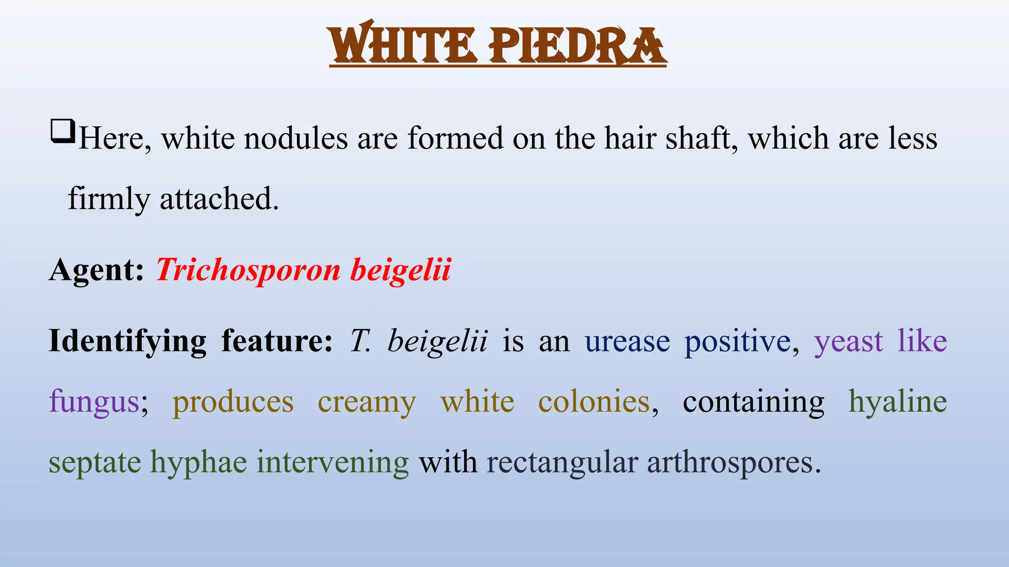 Piedra (White & Black)- A Superficial Fungal Infection | Causes ...