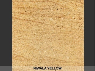 NIWALA YELLOWNIWALA YELLOW
 