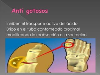 Inhiben el transporte activo del ácido
úrico en el tubo contorneado proximal
modificando la reabsorción o la secreción
 