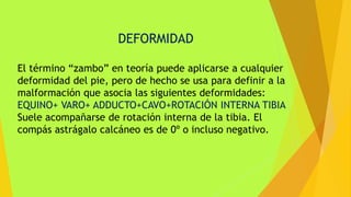 DEFORMIDAD
El término “zambo” en teoría puede aplicarse a cualquier
deformidad del pie, pero de hecho se usa para definir a la
malformación que asocia las siguientes deformidades:
EQUINO+ VARO+ ADDUCTO+CAVO+ROTACIÓN INTERNA TIBIA
Suele acompañarse de rotación interna de la tibia. El
compás astrágalo calcáneo es de 0º o incluso negativo.
 