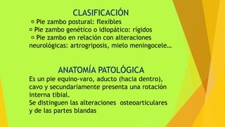 CLASIFICACIÓN
Pie zambo postural: flexibles
Pie zambo genético o idiopático: rígidos
Pie zambo en relación con alteraciones
neurológicas: artrogriposis, mielo meningocele…
ANATOMÍA PATOLÓGICA
Es un pie equino-varo, aducto (hacia dentro),
cavo y secundariamente presenta una rotación
interna tibial.
Se distinguen las alteraciones osteoarticulares
y de las partes blandas
 