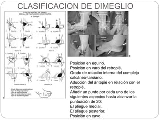 CLASIFICACION DE DIMEGLIO 
Posición en equino. 
Posición en varo del retropié. 
Grado de rotación interna del complejo 
calcáneo-tarsiano. 
Aducción del antepié en relación con el 
retropié, 
Añadir un punto por cada uno de los 
siguientes aspectos hasta alcanzar la 
puntuación de 20: 
El pliegue medial. 
El pliegue posterior. 
Posición en cavo. 
 