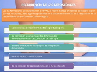 Las malformaciones que caracterizan al PEVAC, al recibir manejo ortopédico adecuado, logran
buenos resultados , pero algo decepcionante en el tratamiento de PEVC es la reaparición de las
deformidades una vez que han sido corregidas .
La recurrencia de las deformidades se producen por :
-La corrección incompleta de las deformidades ,
frecuentemente del cavo, después de la cirugía.
-El retiro prematuro del yeso después de corregidas las
deformidades.
-La retracción de la cicatriz de la cirugía.
-La no utilización del aparato abductor, en el método Ponseti.
 