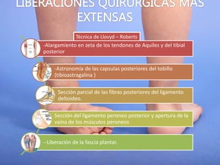 Técnica de Llovyd – Roberts
-Alargamiento en zeta de los tendones de Aquiles y del tibial
posterior
-Astronomía de las capsulas posteriores del tobillo
(tibioastragalina )
Sección parcial de las fibras posteriores del ligamento
deltoideo.
Sección del ligamento peroneo posterior y apertura de la
vaina de los músculos peroneos
--Liberación de la fascia plantar.
 