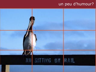 un peu d’humour?




deux mots pour finir
 