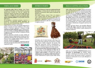 Carrello Pieghevole Per Supermercato Con Cestello In Metallo E Ruote, Vendita All'Ingrosso - Foto 13