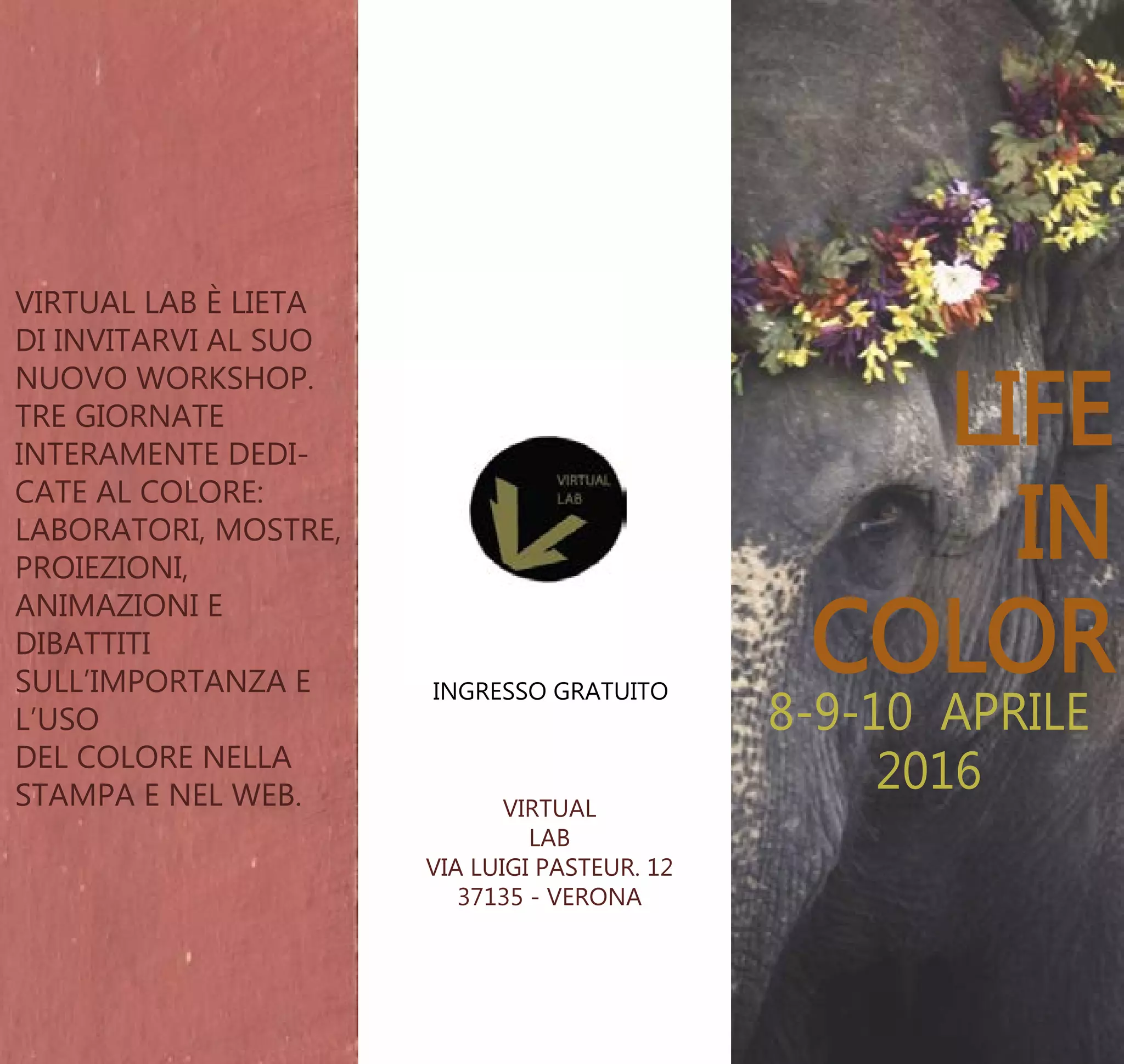Brand manual di Francesca Oliverio per esame corso Grahic Design | PDF