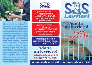 Brochure Ufficiale SOS Levrieri
