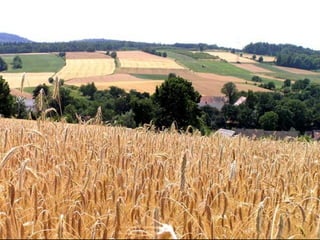 Piękna nasza Polska