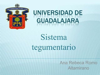 UNIVERSIDAD DE
 GUADALAJARA

   Sistema
tegumentario
       Ana Rebeca Romo
          Altamirano
 