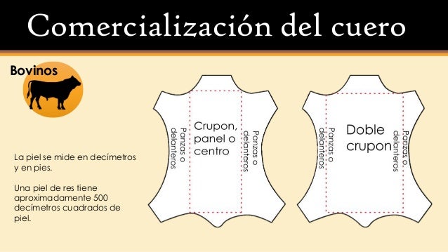 Piel