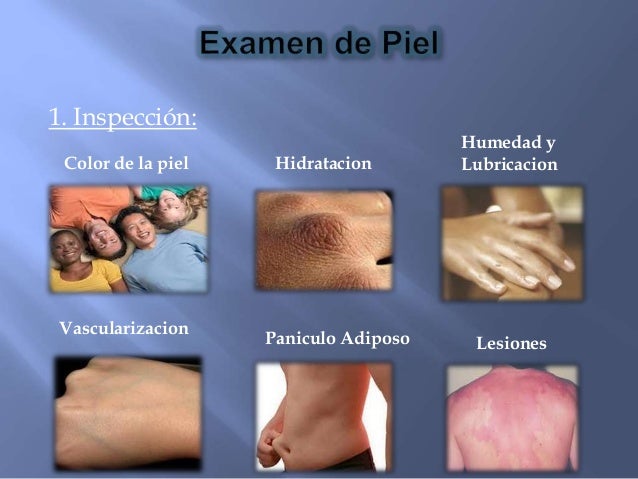 exploracion fisica de Piel