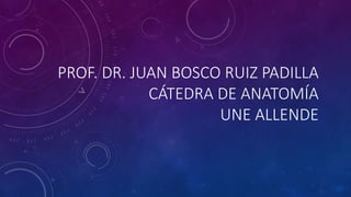PROF. DR. JUAN BOSCO RUIZ PADILLA
CÁTEDRA DE ANATOMÍA
UNE ALLENDE
 