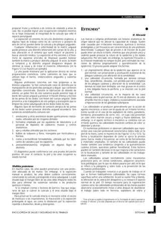 preparan frutas y verduras o de centros de enlatado y amas de
casa. No es posible lograr una recuperación completa mientras
no se haya restaurado al integridad de la cutícula que sella el
espacio periungueal.
La exposición al cemento, la cal y los disolventes orgánicos, y
algunos tipos de trabajo como los de carnicero o granjero de
aves de corral, pueden dañar la cutícula y los pliegues ungueales.
Cualquier inflamación o enfermedad de la matriz ungueal
puede provocar una distrofia (distorsión) del cuerpo de la uña, y
esta alteración es el síntoma que suele inducir al paciente a
buscar atención médica. La exposición al frío extremo o el fenó-
meno de espasmos arteriales de Raynaud, pueden lesionar
también la matriz y producir distrofia ungueal. A veces, la lesión
es temporal y la distrofia ungueal desaparece después de
eliminar la causa y de tratar el trastorno inflamatorio (en la
Figura 12.3 se muestra un ejemplo).
La uña puede lesionarse por la aplicación directa de ciertas
preparaciones cosméticas, como cubrientes de base que se
utilizan bajo el barniz, endurecedores ungueales y cubiertas
sintéticas.
Algunas profesiones concretas son más propensas a las
lesiones ungueales. Se han comunicado casos de distrofia por la
manipulación de los pesticidas paraquat y diquat, que contienen
dipiridilio concentrado. Durante la fabricación de dióxido de
selenio, un polvo fino de esta sustancia puede penetrar bajo el
borde del cuerpo ungueal y provocar irritación intensa y necrosis
de las yemas de los dedos, con lesión del cuerpo ungueal. Debe
prevenirse a los trabajadores de este peligro y aconsejarles que se
limpien las zonas subungueales de los dedos todos los días.
Algunos tipos de dermatitis de contacto alérgica de las yemas
de los dedos suelen provocar distrofia ungueal secundaria. Seis
sustancias sensibilizantes comunes son:
1. ametocaína y otros anestésicos locales químicamente relacio-
nados, utilizados por los cirujanos dentales;
2. formalina empleada por los ayudantes de laboratorio y el
personal de depósitos de cadáveres, museos y centros
anatómicos;
3. ajos y cebollas utilizados por los cocineros;
4. bulbos de tulipanes y flores, manejados por horticultores y
floristas;
5. resina p-tert-butilfenol formaldehído, utilizada por los fabri-
cantes de calzados y por los zapateros;
6. aminoetiletanolamina, empleada en algunos flujos de
aluminio.
El diagnóstico puede confirmarse con una prueba del parche
positiva. Al cesar el contacto, la piel y las uñas recuperan su
estado normal.
Medidas protectoras
En muchos casos, las uñas pueden preservarse con una protec-
ción adecuada de las manos. Sin embargo, si la exposición
manual se produce, las uñas deben cuidarse correctamente,
conservando la cutícula y protegiendo el área subungueal. La piel
situada bajo el margen libre de las uñas debe limpiarse todos los
días para eliminar las sustancias extrañas o los productos
químicos irritantes.
Si se emplean cremas o lociones de barrera, hay que asegu-
rarse de que se cubran la cutícula y el área situada bajo el
margen libre.
Para preservar la cutícula intacta es necesario evitar el exceso
de manicura o los traumatismos, la maceración y la exposición
prolongada al agua, así como la disolución por la exposición
repetida a disolventes, álcalis y detergentes.
•ESTIGMAS*
ESTIGMASESTIGMAS
H. Mierzecki
Las marcas o estigmas profesionales son lesiones anatómicas de
origen laboral que no alteran la capacidad de trabajo. Suelen
estar causadas por irritaciones mecánicas, químicas o térmicas
prolongadas y con frecuencia son características de una profesión
determinada. Cualquier tipo de presión o de fricción de la piel
puede tener un efecto irritante, mientras que una presión única y
violenta puede provocar la rotura de la epidermis y los tejidos
subyacentes. Por otro lado, sin embargo, la repetición frecuente o
la irritación moderada no rompen la piel, pero estimulan las reac-
ciones de defensa (engrosamiento y queratinización de la
epidermis). El proceso puede adoptar tres formas:
1. un engrosamiento difuso de la epidermis que aparece en la
piel normal, con preservación y acentuación ocasional de los
pliegues cutáneos y sin alteración de la sensibilidad;
2. una callosidad circunscrita, formada por láminas córneas
lisas, amarillentas, elevadas, con pérdida parcial o completa
de los pliegues cutáneos y alteración de la sensibilidad. Las
láminas no están bien limitadas; son más gruesas en el centro
y más delgadas hacia la periferia, y se mezclan con la piel
normal;
3. una callosidad circunscrita, en la mayoría de los casos
elevada sobre la piel normal, de 15 mm de diámetro, de color
amarillo marrón a negro, indolora y ocasionalmente asociada
a hipersecreción de las glándulas sudoríparas.
Las callosidades se producen generalmente por la acción de
agentes mecánicos, a veces con la ayuda de un irritante térmico
(como sucede en el caso de los sopladores de vidrio, panaderos,
bomberos, procesadores de carne, etc) , en cuyo caso presentan
un color entre marrón oscuro y negro y fisuras dolorosas. Sin
embargo, si el agente térmico o mecánico se combina con un
irritante químico, las callosidades muestran cambios de color, se
ablandan y ulceran.
En numerosas profesiones se observan callosidades que repre-
sentan una reacción profesional característica (sobre todo en la
piel de la mano, como se muestra en las Figuras 12.4 y 12.5). Su
forma y localización dependen de cómo se ejerce la presión
(zona, fuerza, modo y frecuencia), así como de las herramientas
y materiales empleados. El tamaño de las callosidades puede
revelar también una tendencia congénita a la queratinización
cutánea (ictiosis, queratosis palmar hereditaria). Estos factores
pueden ser también decisivos en lo que respecta a las variaciones
en la localización y tamaño de las callosidades en los trabaja-
dores manuales.
Las callosidades actúan normalmente como mecanismos
protectores pero, en ciertas condiciones, adquieren caracterís-
ticas patológicas, por lo que no deben pasarse por alto en lo que
se refiere a la patogenia y, sobre todo, a la prevención de las
dermatosis profesionales.
Cuando un trabajador renuncia a un puesto de trabajo en el
que se forman habitualmente callosidades, las capas córneas
superfluas sufren una exfoliación, la piel se vuelve fina y blanda,
la alteración de la coloración desaparece y se restaura el aspecto
normal de la piel. El tiempo necesario para la regeneración
cutánea varía: las callosidades profesionales de las manos pueden
observarse ocasionalmente meses o años después de abandonar
el trabajo (sobre todo en herreros, sopladores de vidrio y
ENCICLOPEDIA DE SALUD Y SEGURIDAD EN EL TRABAJO 12.19 ESTIGMAS 12.19
EL CUERPO HUMANO
12.ENFERMEDADESDELAPIEL
*Este artículo se publicó originalmente en la Enciclopedia de salud y seguridad en
el trabajo, 3ª edición, y ha sido adaptado por el director del capítulo para esta 4ª
edición.
 