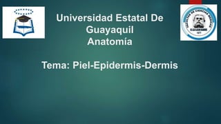 Universidad Estatal De
Guayaquil
Anatomía
Tema: Piel-Epidermis-Dermis
 
