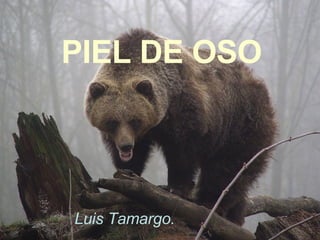 PIEL DE OSO Luis Tamargo. 