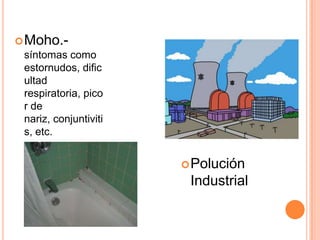  Moho.-
 síntomas como
 estornudos, dific
 ultad
 respiratoria, pico
 r de
 nariz, conjuntiviti
 s, etc.


                        Polución
                        Industrial
 
