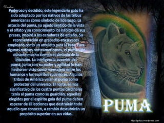 Poderoso y decidido, este legendario gato ha
   sido adoptado por los nativos de las tribus
   americanas como símbolo de liderazgo. La
 astucia del puma, su agudo sentido de la vista
y el olfato y su conocimiento los hábitos de sus
  presas, inspiró a los cazadores de antaño. Su
     representación en grabados era a veces
empleado como un amuleto para la caza. Para
algunos nativos norteamericanos, el puma sido
     durante mucho tiempo el símbolo de la
       intuición. La inteligencia superior del
   puma, junto con su poder y agilidad lo han
   hecho ser visto como mensajero entre los
  humanos y los espíritus superiores. Algunas
      tribus de América veían al puma como
     protector del universo. El norte, el más
  significativo de los cuatro puntos cardinales
   tenía al puma como su guardián. aquellos
  elegidos por el espíritu guía del puma deben
  esperar de él lecciones que destruirán todo
aquello que conocen, a cambio descubrirán un
          propósito superior en sus vidas.
 