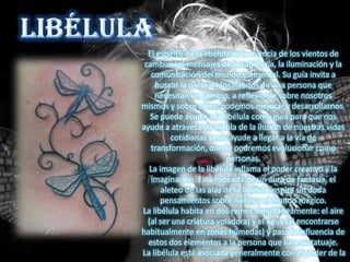 El espíritu de la libélula es la esencia de los vientos de
     cambio, los mensajes de la sabiduría, la iluminación y la
       comunicación del mundo elemental. Su guía invita a
        buscar la parte de los hábitos de una persona que
        necesitan un cambio, a reflexionar sobre nosotros
    mismos y sobre cómo podemos mejorar y desarrollarnos.
.      Se puede acudir a la libélula como guía para que nos
    ayude a atravesar la niebla de la ilusión de nuestras vidas
              cotidianas y nos ayude a llegar a la vía de
       transformación, donde podremos evolucionar como
                               personas.
       La imagen de la libélula inflama el poder creativo y la
       imaginación. Está rodeada de un aura de fantasía, el
           aleteo de las alas de la libélula inspira sin duda
          pensamientos sobre hadas y el mundo mágico.
    La libélula habita en dos reinos simultáneamente: el aire
      (al ser una criatura voladora) y el agua (al encontrarse
    habitualmente en zonas húmedas) y pasa la influencia de
      estos dos elementos a la persona que luce su tatuaje.
    La libélula está asociada generalmente con el poder de la
 