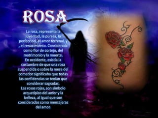 La rosa, representa la
      juventud, la pureza, la
 perfección, el amor terrenal, y
, el renacimiento. Considerada
    como flor de cortejo, del
    matrimonio y la muerte.
     En occidente, existía la
   costumbre de que una rosa
suspendida o sobre la mesa del
comedor significaba que todas
 las confidencias se tenían que
       considerar sagradas.
  Las rosas rojas, son símbolo
    arquetípico del amor y la
     belleza, al igual que son
consideradas como mensajeras
             del amor.
 