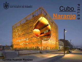 PIELES
                           Cubo
                         Naranjo




Cynthia Huamán Ramírez
 
