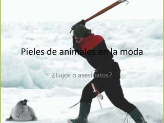 Pieles de animales en la moda

       ¿Lujos o asesinatos?
 