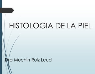 HISTOLOGIA DE LA PIEL
Dra Muchin Ruiz Leud
 