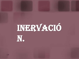 Pliegues de locomoción: situados cerca de las articulaciones (Líneas de la mano)