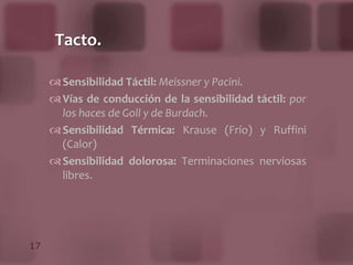 De los folículos pilosos: dan paso a los pelos.