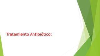 Tratamiento Antibiótico:
 