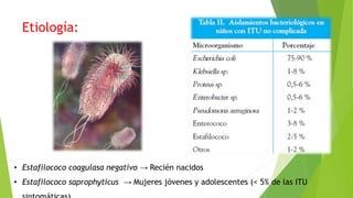 Etiología:
• Estafilococo coagulasa negativo → Recién nacidos
• Estafilococo saprophyticus → Mujeres jóvenes y adolescentes (< 5% de las ITU
 