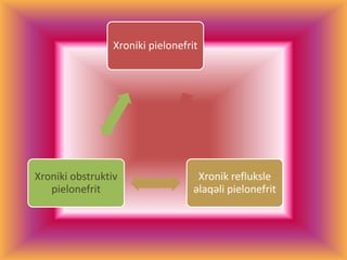 Xroniki pielonefrit
Xronik refluksle
əlaqəli pielonefrit
Xroniki obstruktiv
pielonefrit
 
